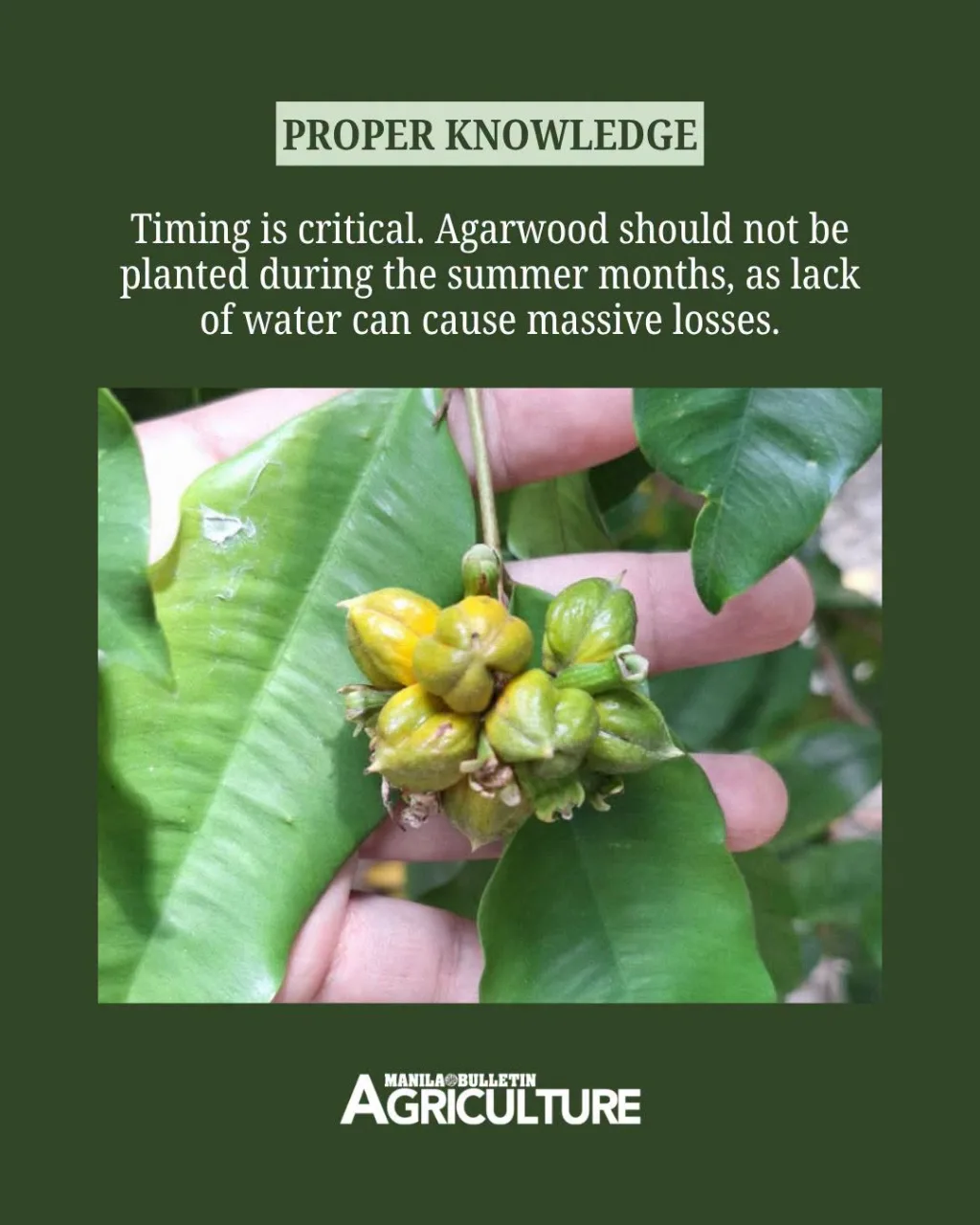 proper-knowledge