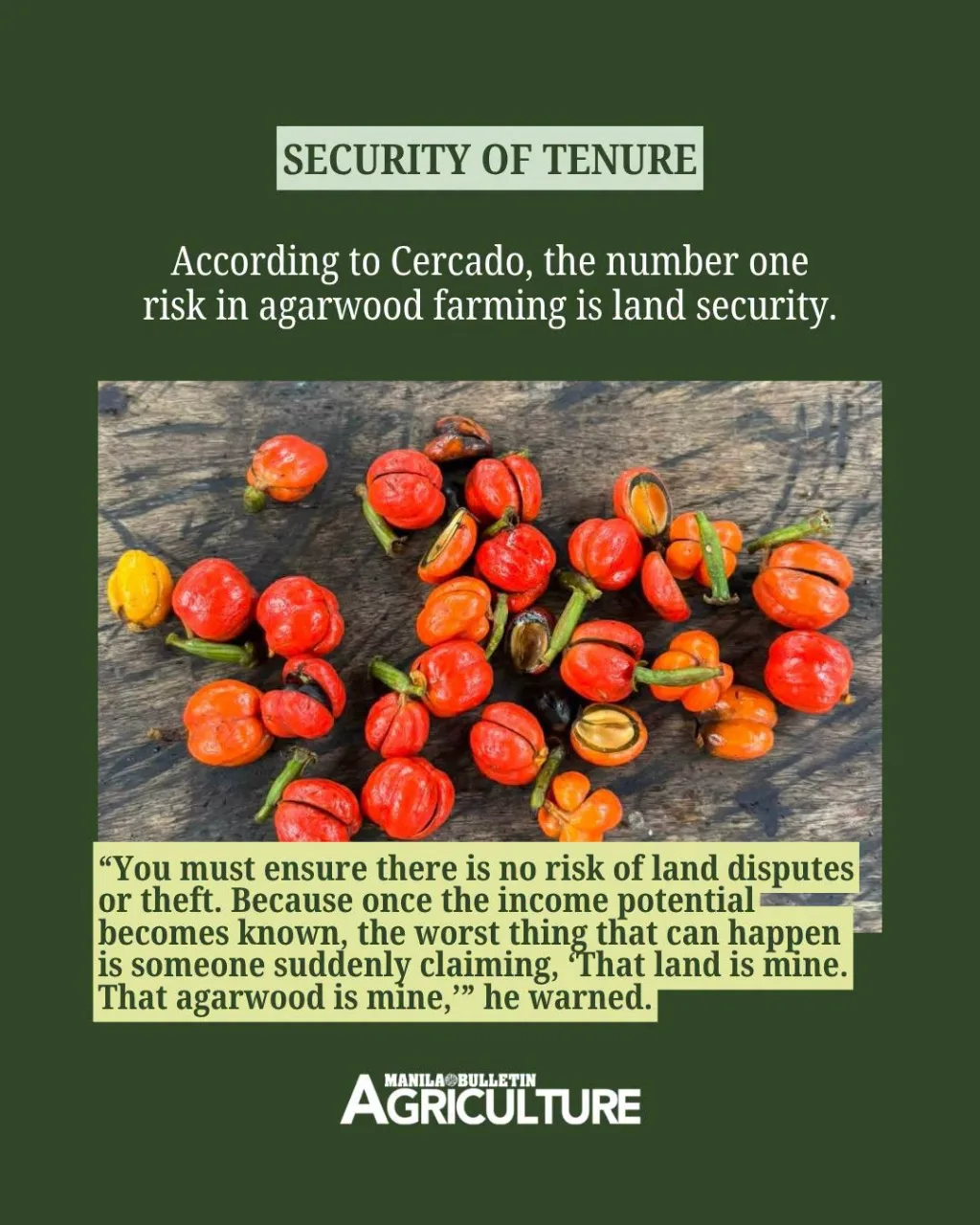 security-of-tenure