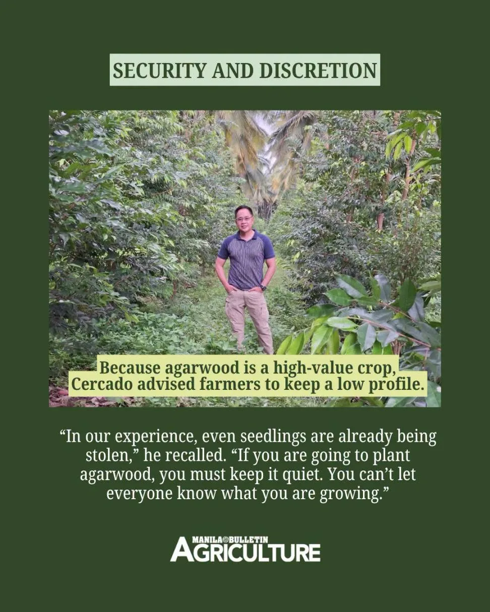 security-and-discretion