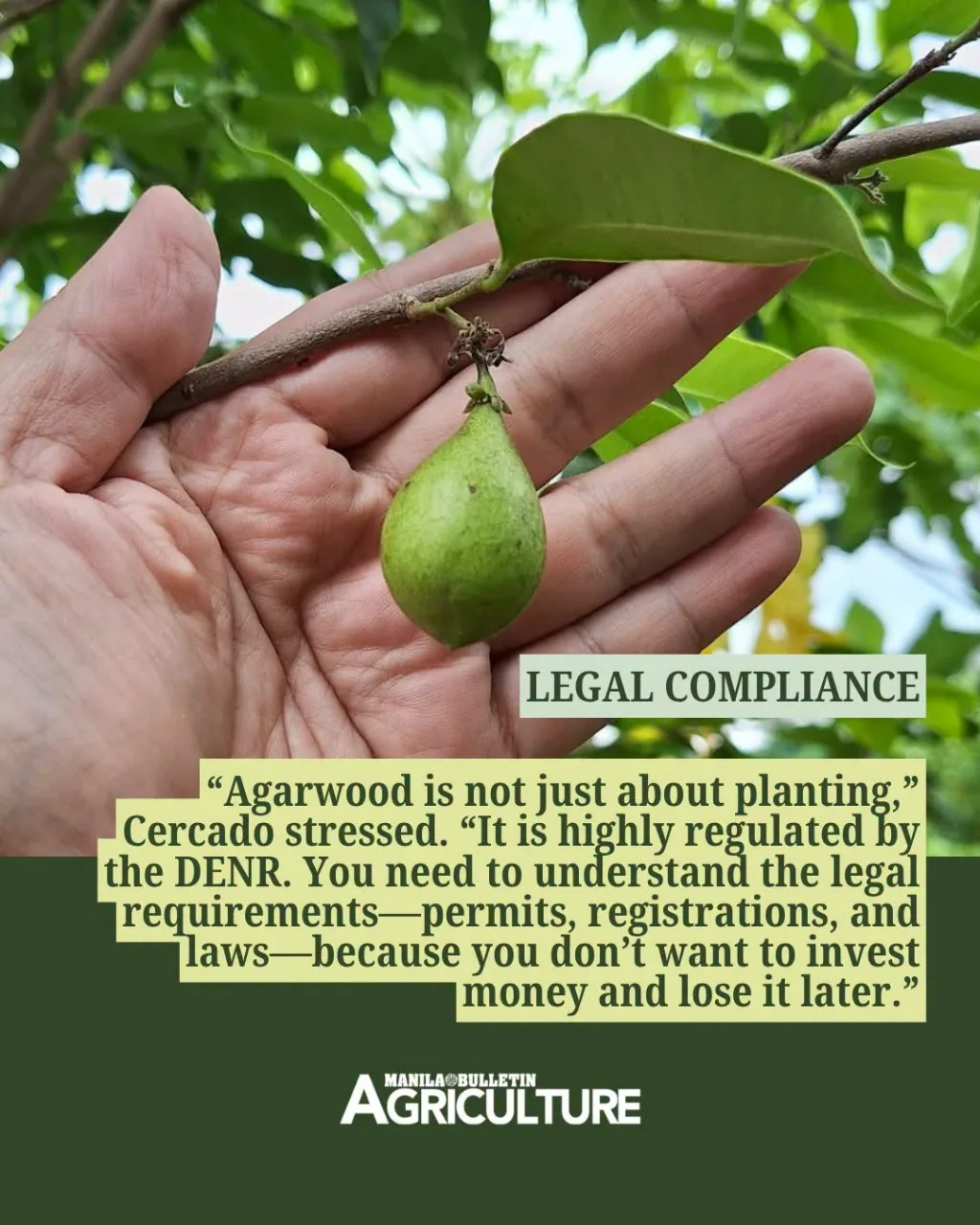 legal-compliance